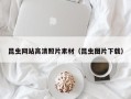 寿光昆虫网站高清照片素材（昆虫图片下载）