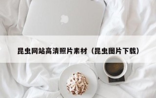 寿光昆虫网站高清照片素材（昆虫图片下载）